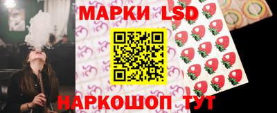СК Сосновый Бор