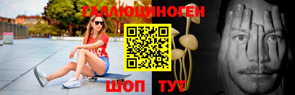 Псилоцибиновые грибы Cubensis  Вход с VPN  Кувандык  Галлюциногенные грибы прущие грибы 